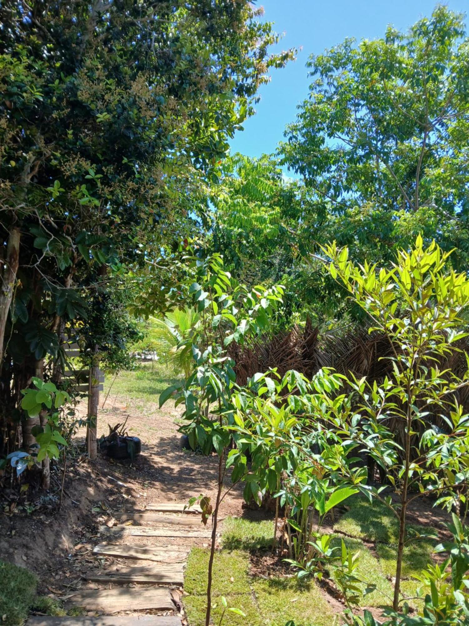 Casa Conteiner Conectada Com A Natureza - 5km Do - Reserva Sapiranga Holiday home